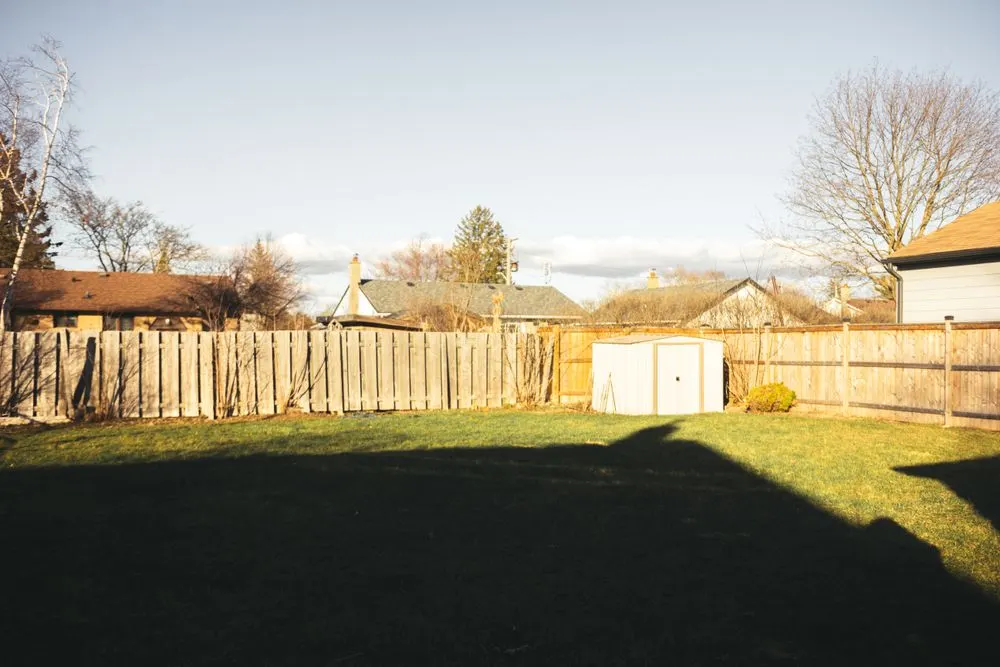 Backyard enclosed by a wooden privacy fence